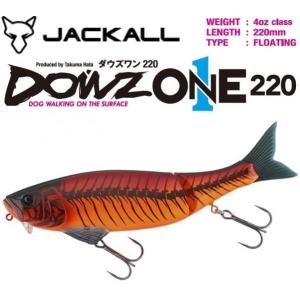 JACKALL（ジャッカル） ダウズスイマー220SF RTラージマウスバス