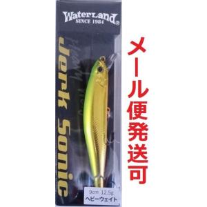 がまかつ　ラグゼ　コヨーテ　S100M ライトショアジギング ロッド　軽量　堤防 Gamakatsu がまかつ ラグゼ コヨーテ S100M (ショアジギング ロッド