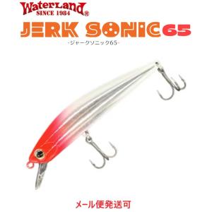 WaterLand（ウォーターランド） ジャークソニック 65 シラス 065698