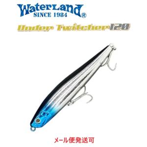 ウォーターランド アンダートゥイッチャー 120 ブルーヘッドシルバー 061997