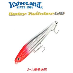 ウォーターランド アンダートゥイッチャー 120 レッドヘッドシルバー 065513