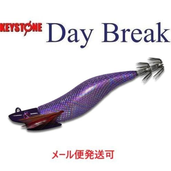 キーストン デイブレイク 4.0号 39ｇ パープルエディション ソルティパープル 231782 テ...