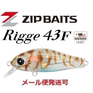 ZIP BAITS（ジップベイツ） ザブラ ゾエア リプル 45F L-116 ブラック