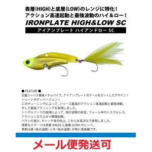 コアマン IP-25 アイアンプレート ハイアンドロー SC 007 チャートヘッド 919625