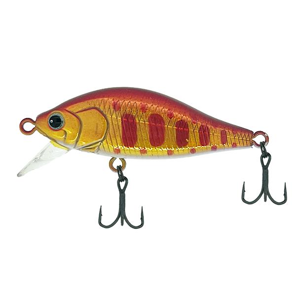 ザクトクラフト ジル 45S　2.アカキンヤマメ 649788