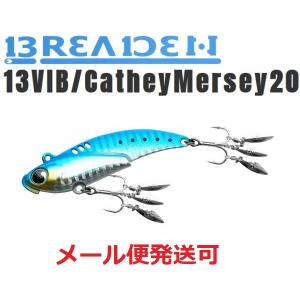 レンシ゛ハ゛イフ゛55ES WH-88 北陸インハ゜クトライム バスデイ