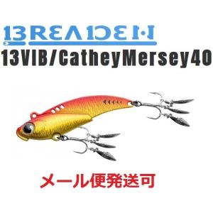 レンシ゛ハ゛イフ゛55ES WH-88 北陸インハ゜クトライム バスデイ
