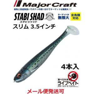 DSTYLE ディスタイル ギーラカンス 4インチ : ルアーショップB.B