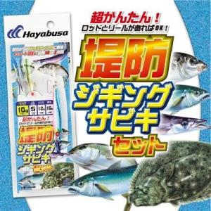 ハヤブサ 堤防ジギングサビキセット 2本鈎 40g 931645