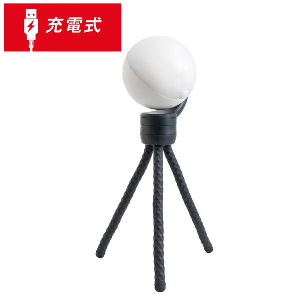 [RITEX][6ヶ月保証付/充電式LED人感センサーライト]自由に曲がる三脚でどこでもセンサーライ...