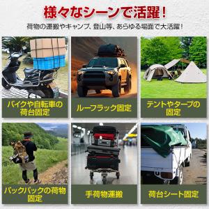 荷締めロープ バンジーコード 調節式 20-1...の詳細画像1