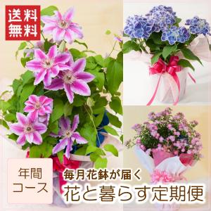 定期便「花と暮らす定期便・年間コース（全１２回）」 誕生日 生花 プレゼント ギフト お祝い 定期購入 フラワーギフト 旬 鉢物 花鉢 毎月届く
