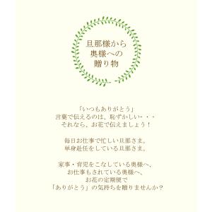 定期便「花と暮らす定期便・年間コース(全12回...の詳細画像3
