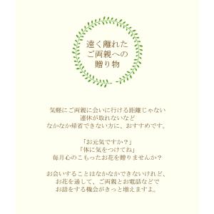定期便「花と暮らす定期便・年間コース(全12回...の詳細画像4