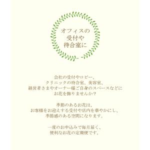 定期便「花と暮らす定期便・年間コース(全12回...の詳細画像5
