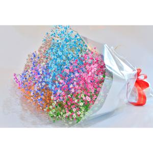 ７色そろうふわふわブーケ 7本 花束 ロマンチックかすみ草 かすみ草 染めかすみ草 R 03 Flower Market いわい生花 通販 Yahoo ショッピング
