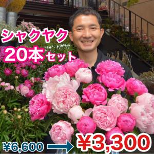 出るたびに完売！シャクヤク「初夏の香り」アソートセット