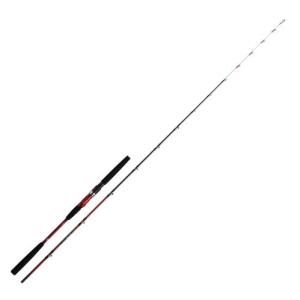 DAIWA（ダイワ） ディープゾーン X 120-210 : フィッシング カンパイ