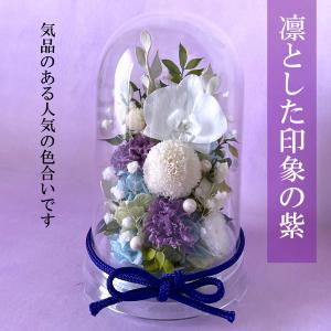 フローリストレマン プリザーブドフラワー 胡蝶...の詳細画像2