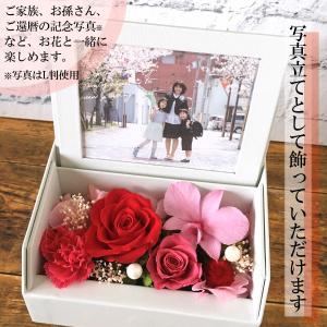 フローリストレマン プリザーブドフラワー 花 ...の詳細画像4