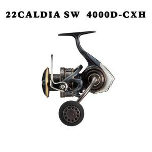 DAIWA（ダイワ） 【目玉商品】ダイワ 23 BG SW 10000-H (2023年モデル