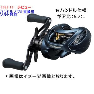 23スティーズ AII TW 1000H L DAIWA（ダイワ） 23 スティーズ AII TW 1000 XHL 左巻き : オープン