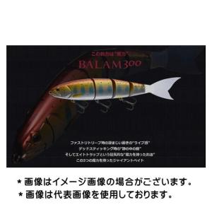 EverGreen マドネスXエバーグリーン バラム300 菊元俊文 E.G.