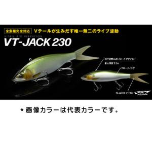 プロテイン様 ガンクラフト　ジョイクロシフト113 本気ヌメリ追川　雄雌セット プロテイン様 ガンクラフト ジョイクロシフト113 本気ヌメリ追川 雄雌