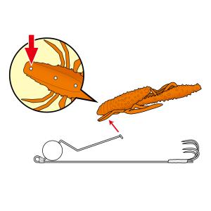 (2026年新製品)がまかつ/ラグゼ オクトラ...の詳細画像3