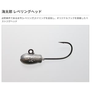 一誠/ISSEI 海太郎レベリングヘッド #10 ジグヘッド(メール便対応)｜f-marin