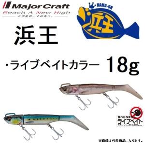 Major Craft（メジャークラフト） 浜王セット BEACHKING 21g HMO-SET