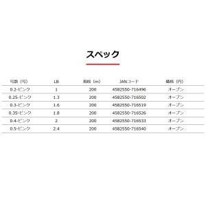 YGK/よつあみ エックスブレイド D-PET...の詳細画像3