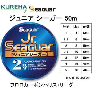 Seaguar（シーガー） フロロショックリーダー ショックリーダー