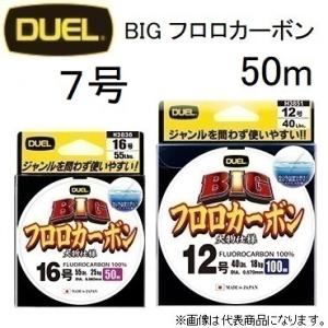 DUEL（デュエル） BIGフロロカーボン 50m 12号 44Lbs フロロカーボン