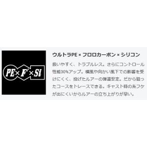 DUEL デュエル アーマードF+ Pro フ...の詳細画像5