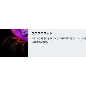 (2026年新カラー)デュエル/ヨーヅリ EZ...の詳細画像3