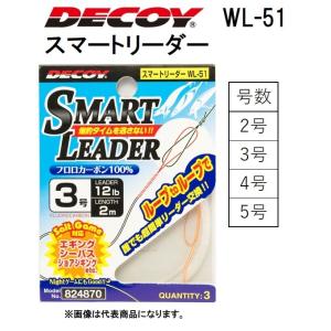 デコイ/DECOY スマートリーダー WL-51 エギング シーバス ショアジギング用 リーダー スマート リーダー (メール便対応)｜f-marin