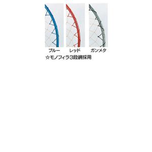 ダイトウブク/DAITOU ファインフレーム ...の詳細画像2