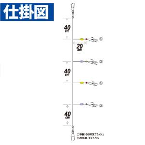 ハヤブサ/Hayabusa 実戦サビキ ブライ...の詳細画像2