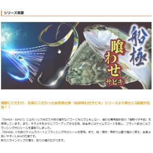 ハヤブサ/Hayabusa 落し込みスペシャル...の詳細画像4