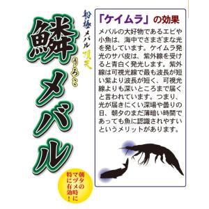 ハヤブサ/Hayabusa 船極頂天 鱗メバル...の詳細画像3