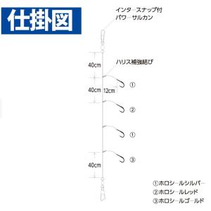 ハヤブサ/Hayabusa 落し込みスペシャル...の詳細画像3