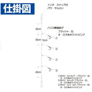 ハヤブサ/Hayabusa 落し込みスペシャル...の詳細画像5