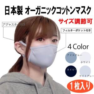 正規販売店】ヘパスキン 4D エアークール マスク【1枚】HEPASKIN Air