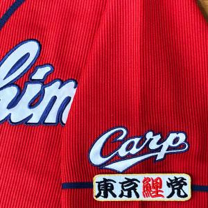 ☆送料無料☆東京 ヤクルト スワローズ 青木宣親 応援歌 白布 刺繍