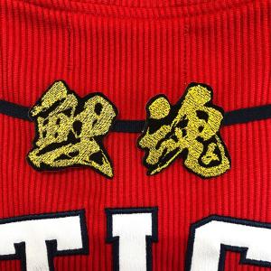 ☆送料無料☆東京 ヤクルト スワローズ 山田哲人 応援歌 白布 刺繍