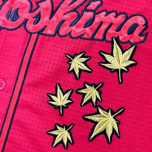 ☆送料無料☆広島 カープ 外国人 汎用 赤布 応援 刺繍 ワッペン