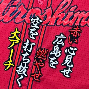 ☆送料無料☆東京 ヤクルト スワローズ オスナ 応援歌 黒 刺繍