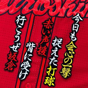 ☆送料無料☆埼玉 西武 ライオンズ 平沢大河 シルエット & ネーム 応援