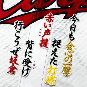 ☆送料無料☆中日 ドラゴンズ 涌井秀章 背番号 & 勘亭流 ビジター 応援